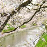 映画【追憶】満開の桜並木を歩く岡田准一も印象的！主な舞台は富山県と石川県